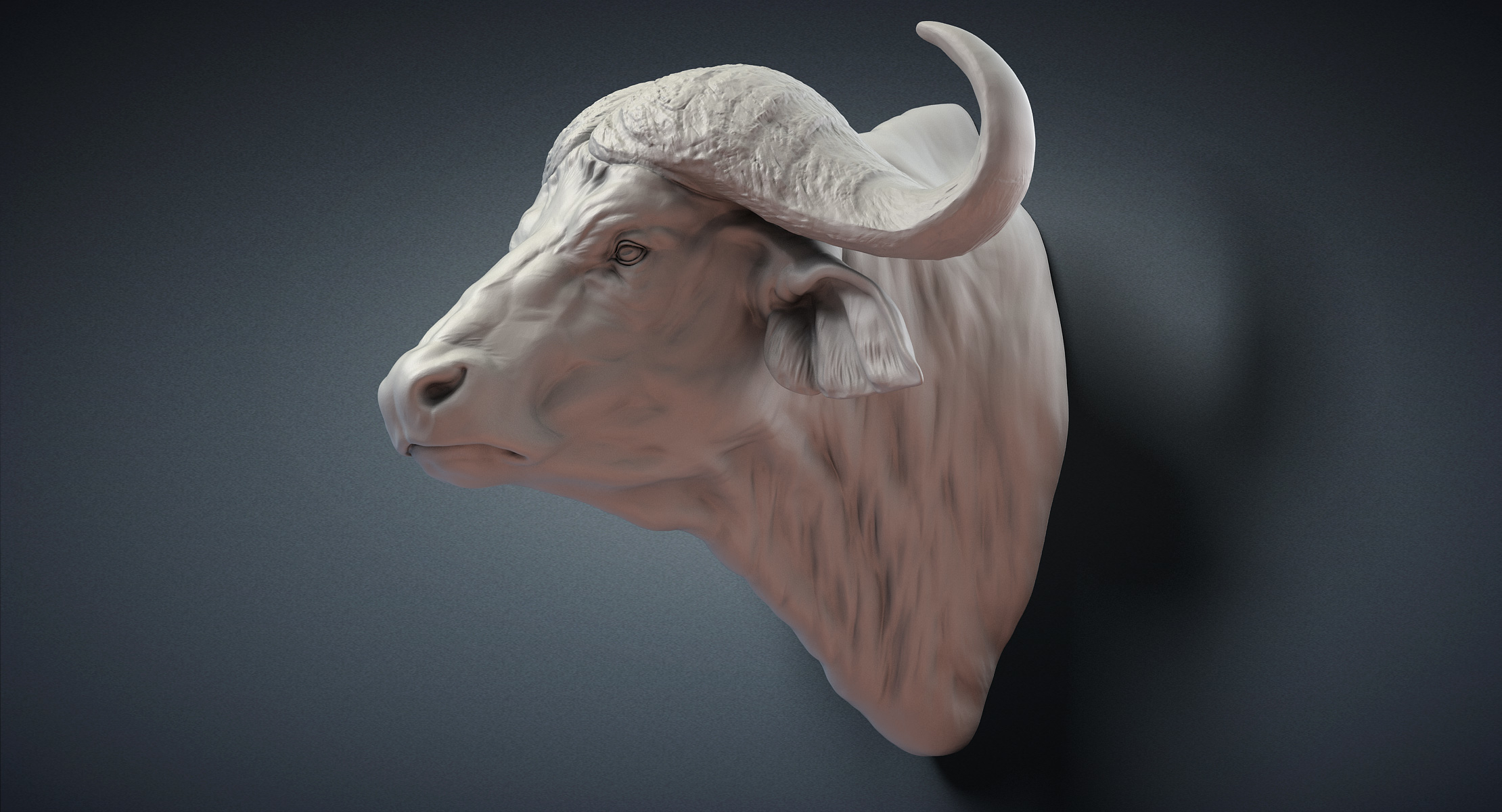 Cape buffalo animal head 3D model TurboSquid 1306166