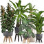 3D model ornamental plants pots