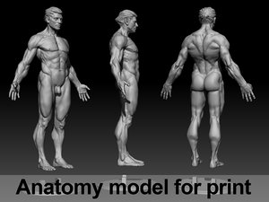 printing anatomy 3D model