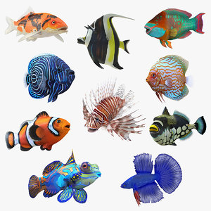 Koi 3D Models for Download | TurboSquid