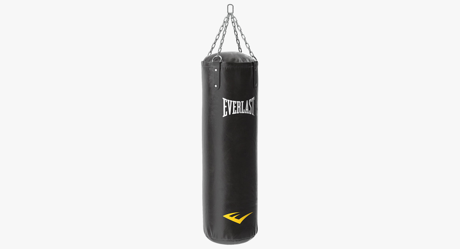 everlast punching bag