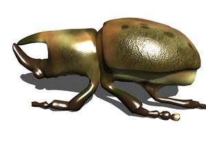 3D rhino beetle