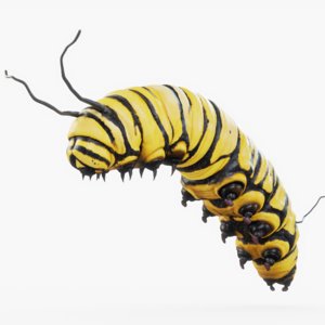 caterpillar rigged 3D model