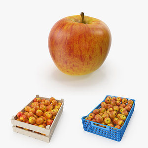 apple gala royal 3D model