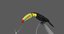 keel-billed toucan animation 3D model