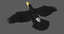 keel-billed toucan animation 3D model