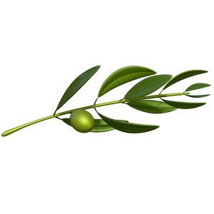 3D olive branch
