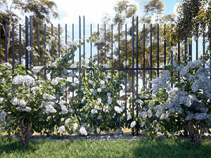 3D model hydrangea garden set