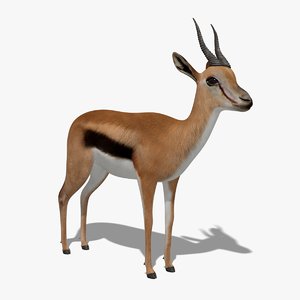 gazelle animation 3D model