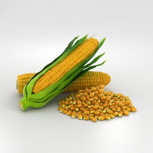 corn 3D