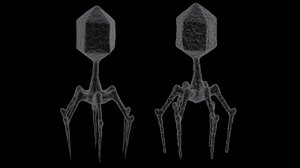 3D 2 bacteriophage model