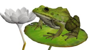 3D green frog