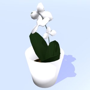 3D flowers pot