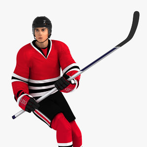 hockey model