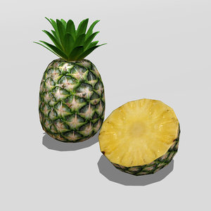 3D pineapple model