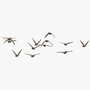 3D small flock ducks flying