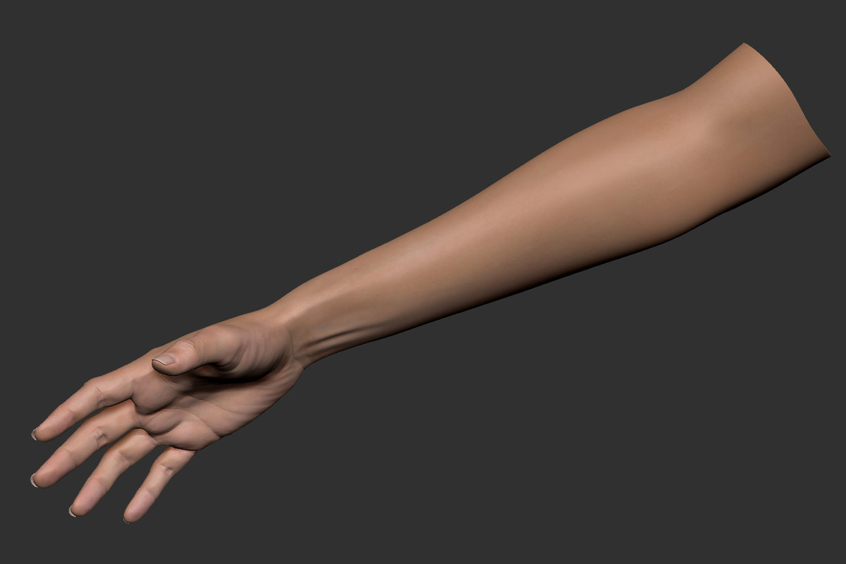 Realistic female arm hand 3D model TurboSquid 1312491