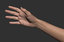 realistic female arm hand 3D model