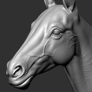 horse realistic zbrush animation 3D model