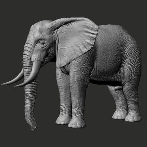 african elephant realistic zbrush 3D model
