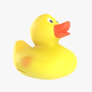 rubber duck model