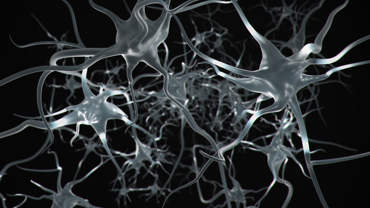 Neuron 3D - TurboSquid 1313539