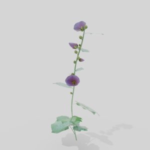 hollyhocks plants alcea 3D