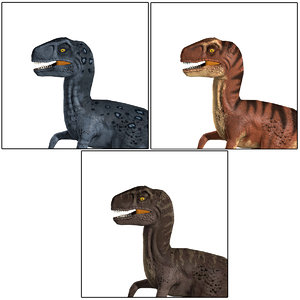 velociraptor 3 3D model
