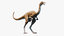dinosaur gallimimus ornithomimus 3D model