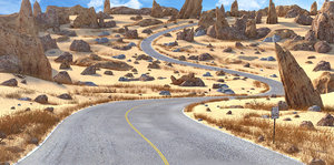3D model desert road
