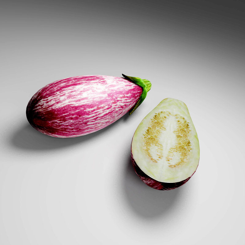 3D model eggplant plant TurboSquid 1314425