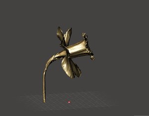 3D daffodil