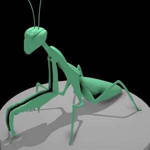 insect mantis bugs 3D
