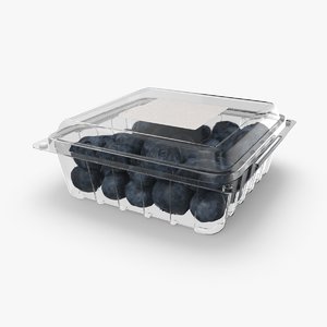 packaged-blueberries 3D model