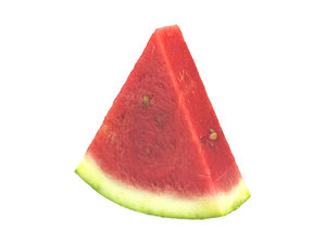 3D photorealistic scanned watermelon slice