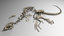 3D model dinosaur skeletons