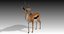 3D gazelle rigged