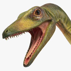 3D compsognathus dinosaur rigged