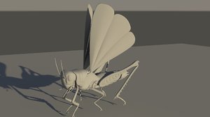 grasshopper grass hopper 3D model