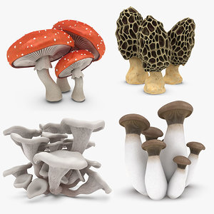 mushrooms 2 model