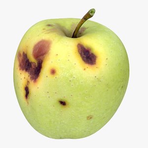 apple green rotten model