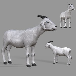 Goat 3D Models For Download | TurboSquid