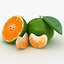 citrus fruit set 2 3D model