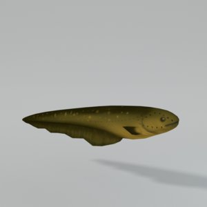 3D electric eel