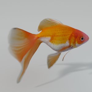 goldfish 3D model