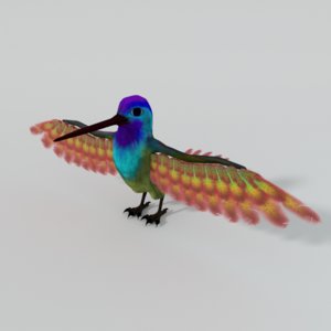 hummingbird color 3D model