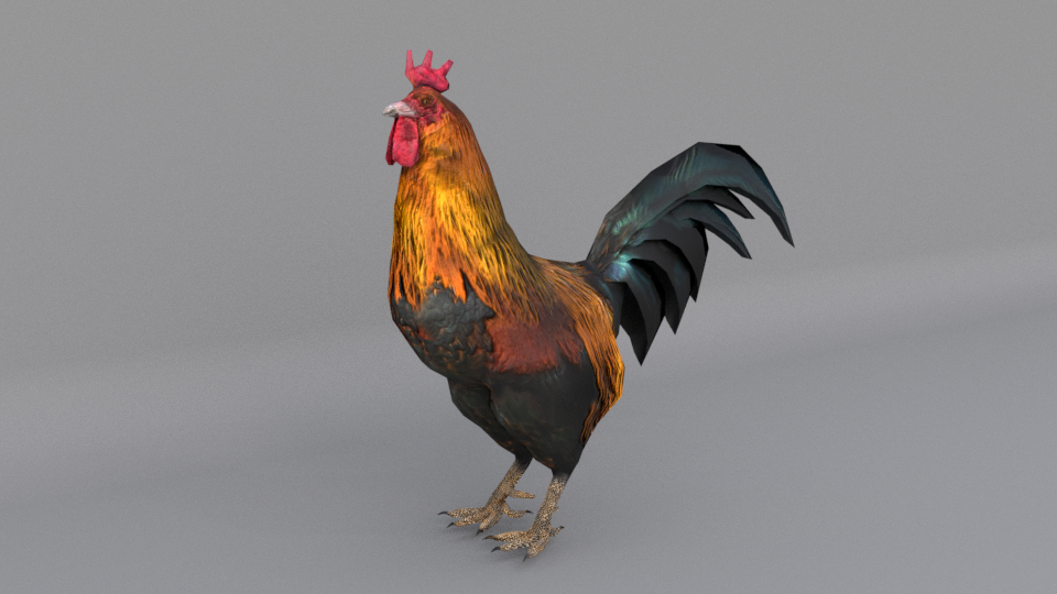 Rooster 3D model - TurboSquid 1316804