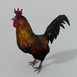 rooster 3D model
