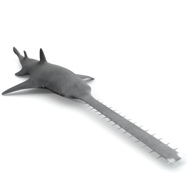 shark saw sawshark 3d