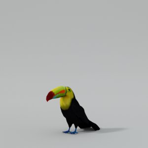 toucan 3D model